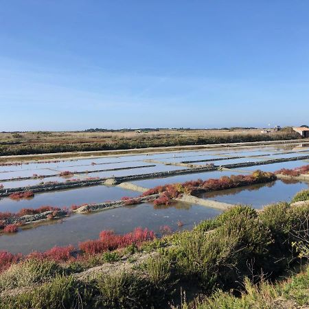 Les Pois Sont Verts La Rochelle  Ngoại thất bức ảnh