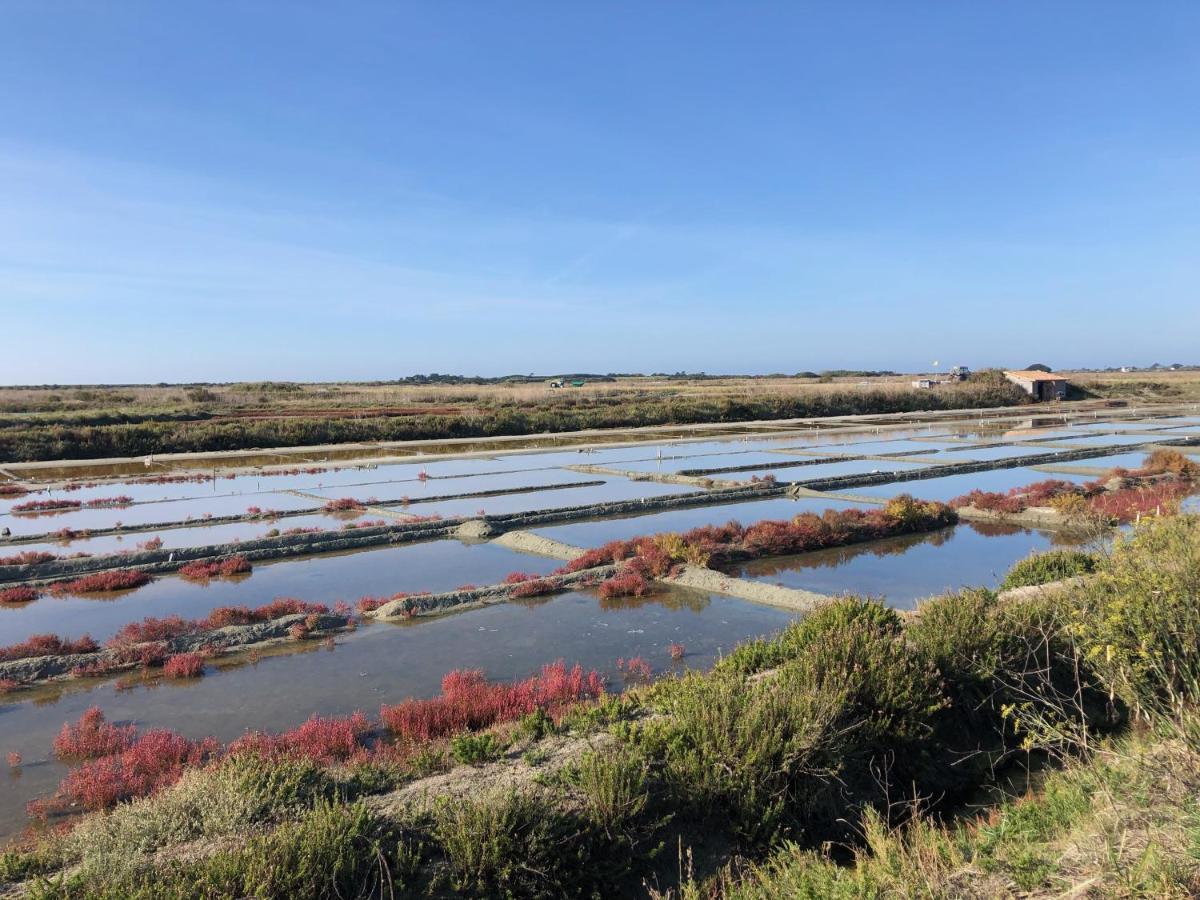Les Pois Sont Verts La Rochelle  Ngoại thất bức ảnh